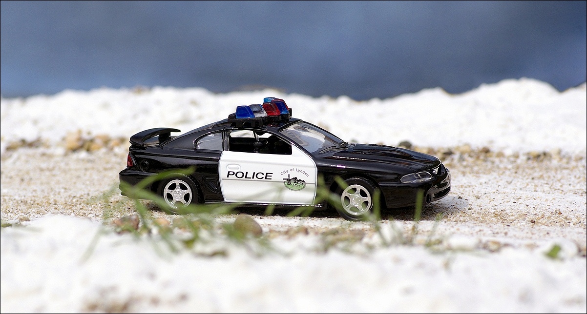 Road Champs: 1998 Ford Mustang - Black/White (RCI63117) in 1:43 scale
. Picture provided by Natty, 2010-09-01 23:22:54