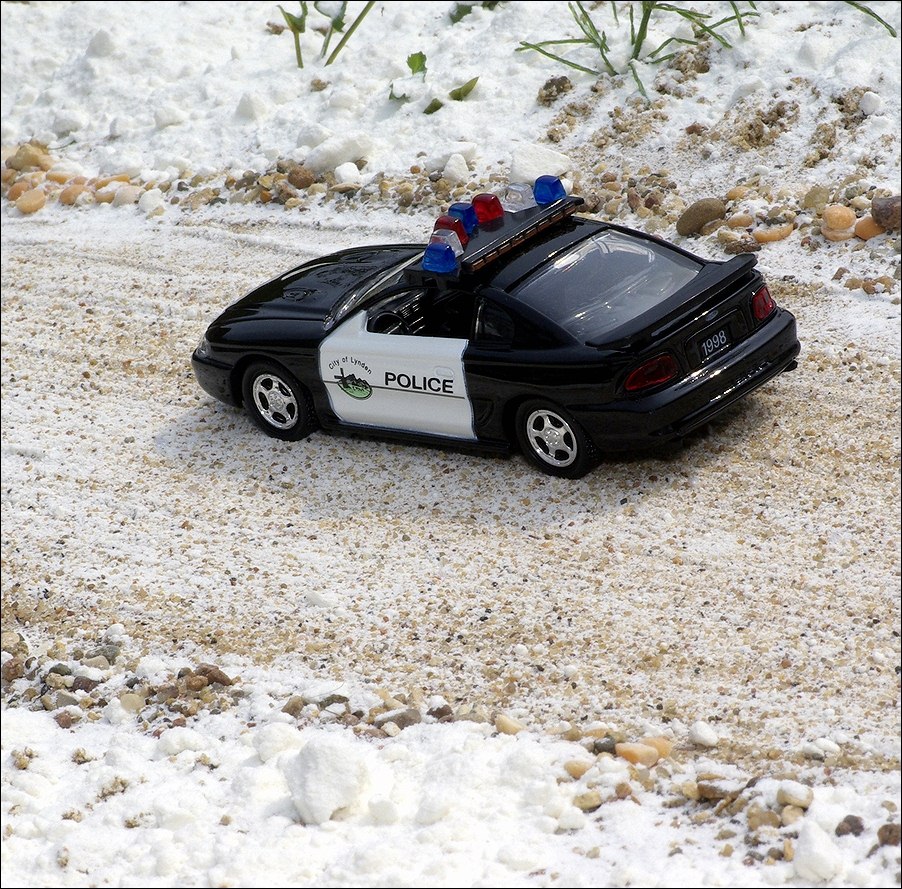 Road Champs: 1998 Ford Mustang - Black/White (RCI63117) in 1:43 scale
. Picture provided by Natty, 2010-09-01 23:23:12